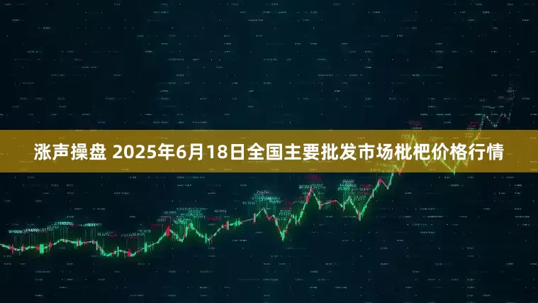 涨声操盘 2025年6月18日全国主要批发市场枇杷价格行情