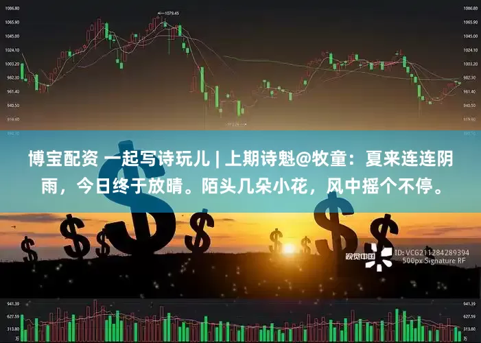 博宝配资 一起写诗玩儿 | 上期诗魁@牧童：夏来连连阴雨，今日终于放晴。陌头几朵小花，风中摇个不停。