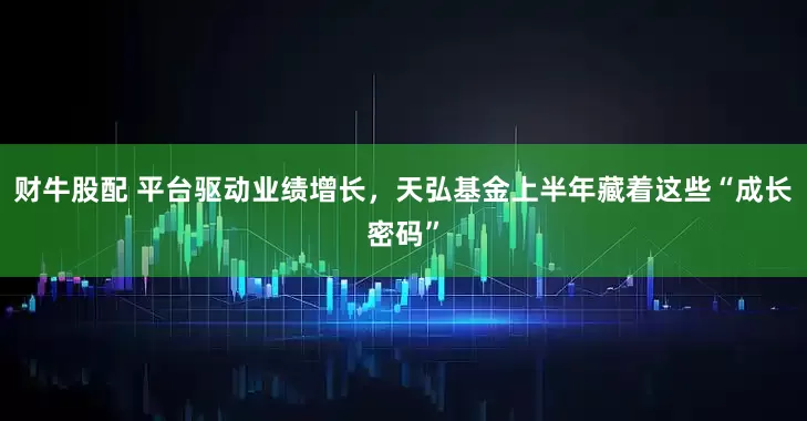 财牛股配 平台驱动业绩增长，天弘基金上半年藏着这些“成长密码”
