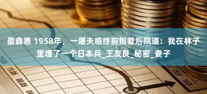 盈鑫惠 1958年，一屠夫临终前指着后院道：我在林子里埋了一个日本兵_王友良_秘密_妻子