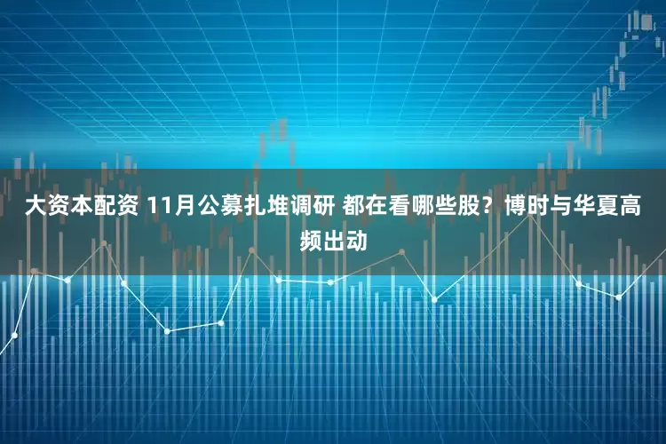 大资本配资 11月公募扎堆调研 都在看哪些股？博时与华夏高频出动